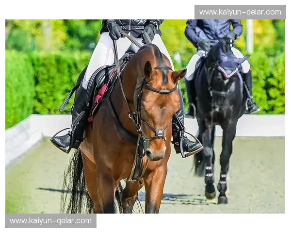 马术比分：从数字看见赛场的激情与美学